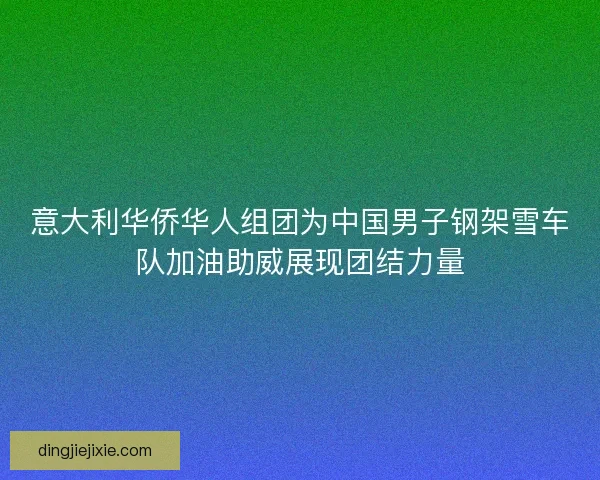 意大利华侨华人组团为中国男子钢架雪车队加油助威展现团结力量